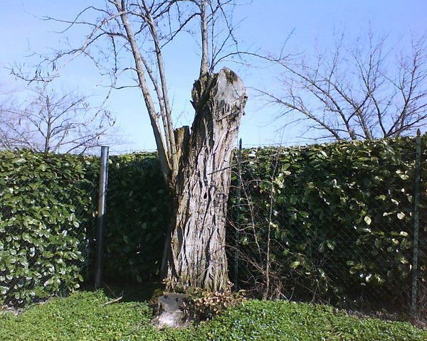 En la fête de Notre Dame de Lorette